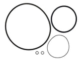 10726808 O-Ring Kit (Supersedes P26808) | JLG
